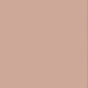 Meet your Posher, Ariannah